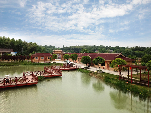 美麗湖南行#由湖南樹人農(nóng)林科技有限公司投資承建的洞庭花海將于“五一”盛大開園