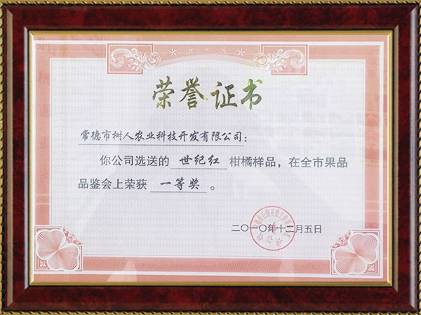 世紀紅2010榮譽證書