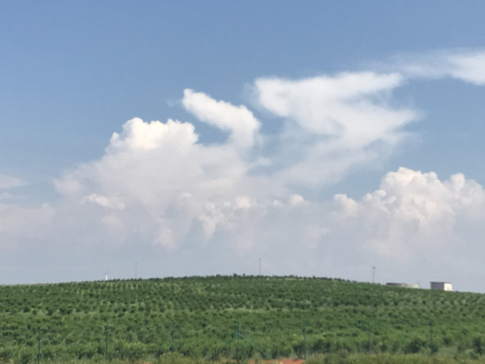 相伴七年，感恩有您—公司七周年小慶