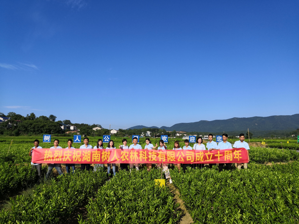 十年樹木 百年樹人