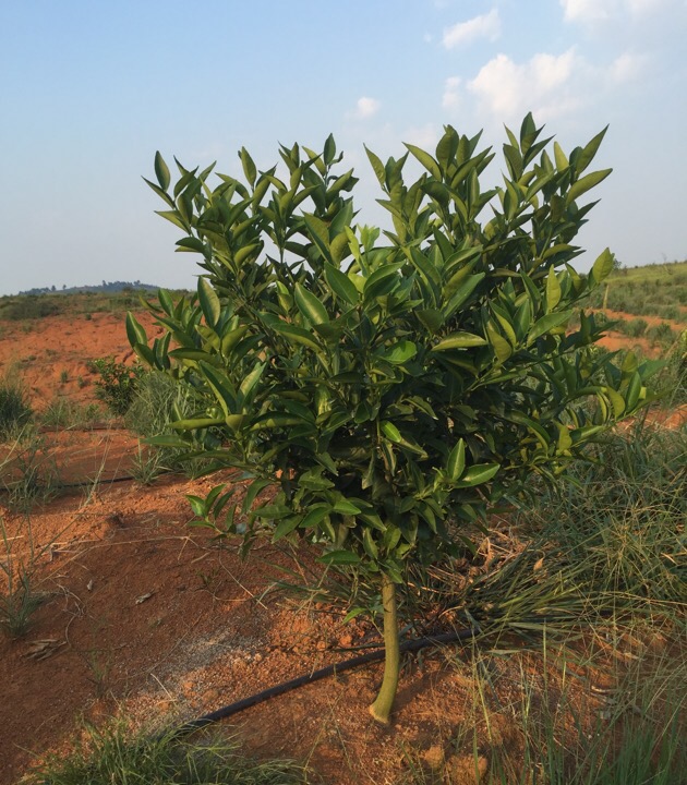 “全產業鏈”順應時代發展需要