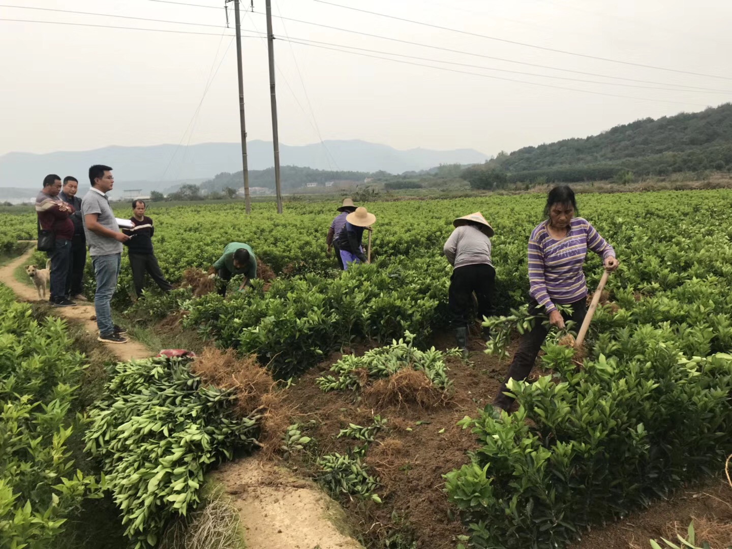 現代農業企業上市座談會長沙舉行 探討上市難點