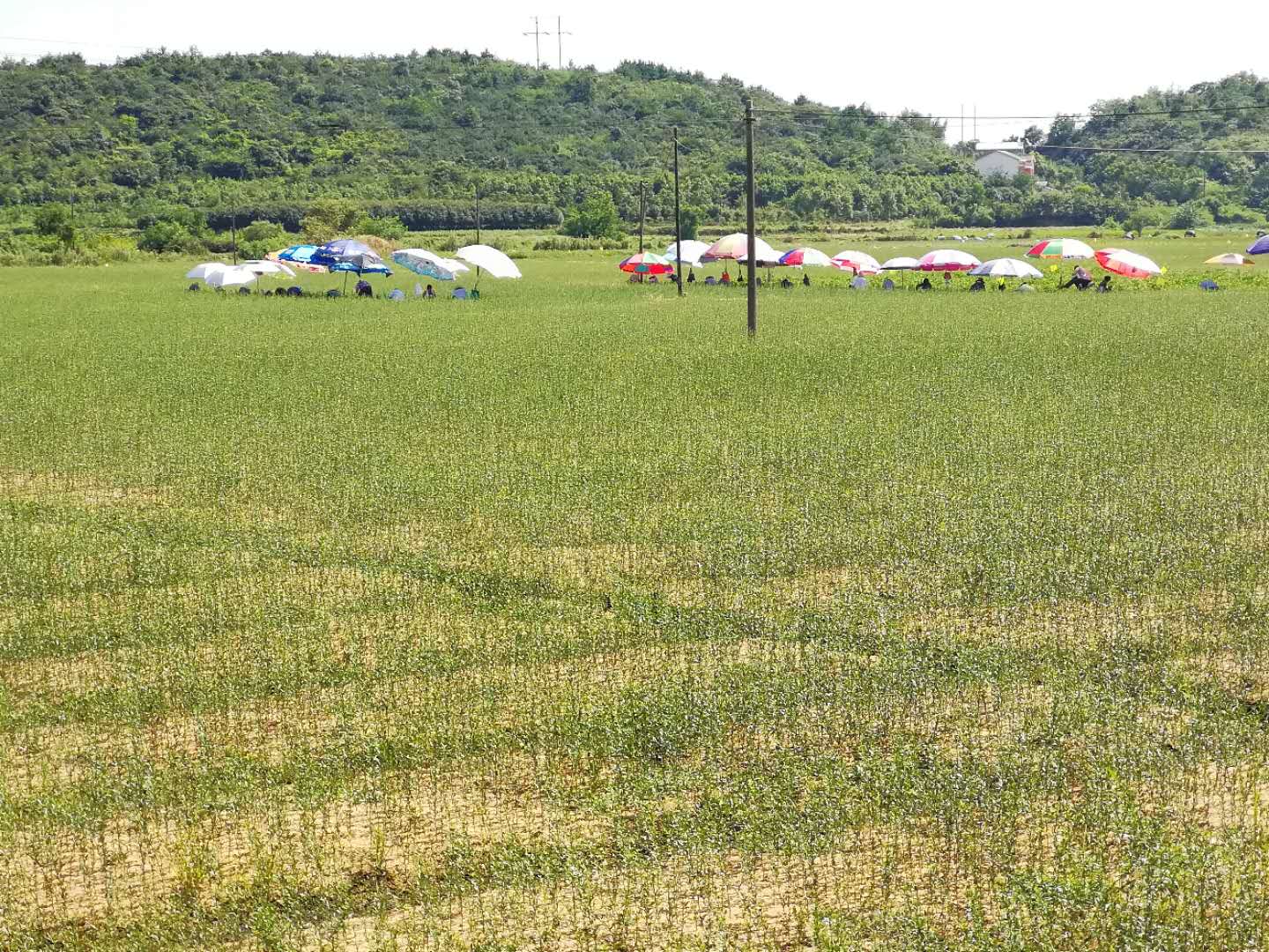 互聯網+正在深刻改變著農業