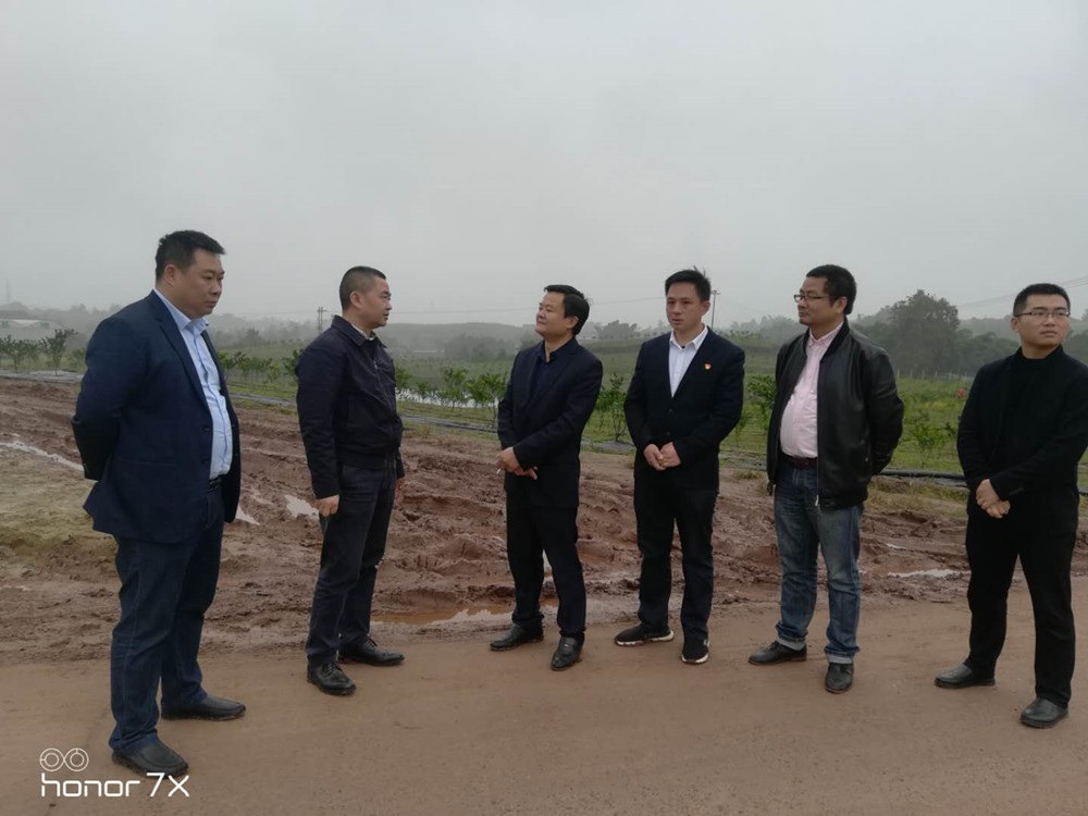 熱烈歡迎隆昌市委領導視察隆昌樹人農業(yè)科技有限公司