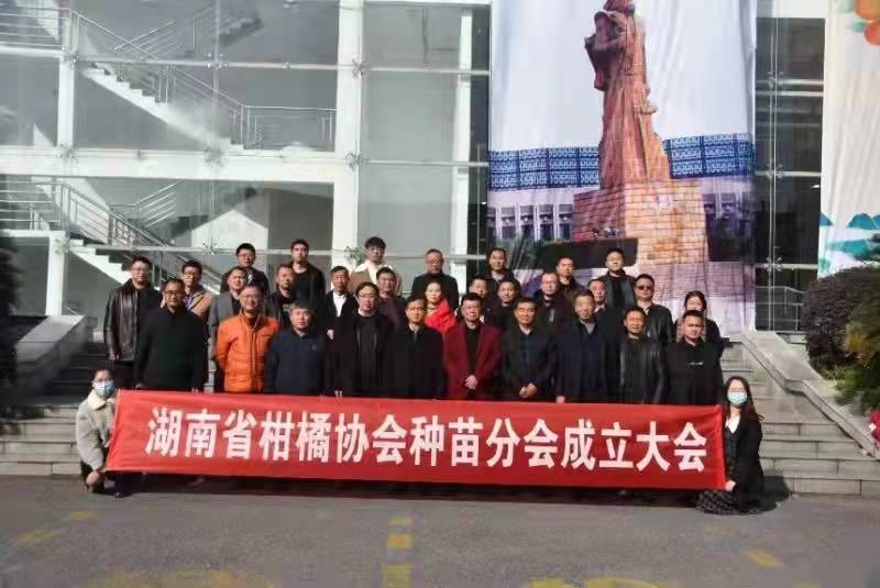 熱烈祝賀湖南省柑橘協(xié)會種苗分會成立