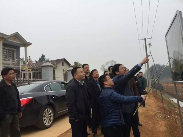 湖南樹人農林科技有限公司,湖南柑橘品種銷售,落葉果樹類銷售,常綠果樹類哪里好