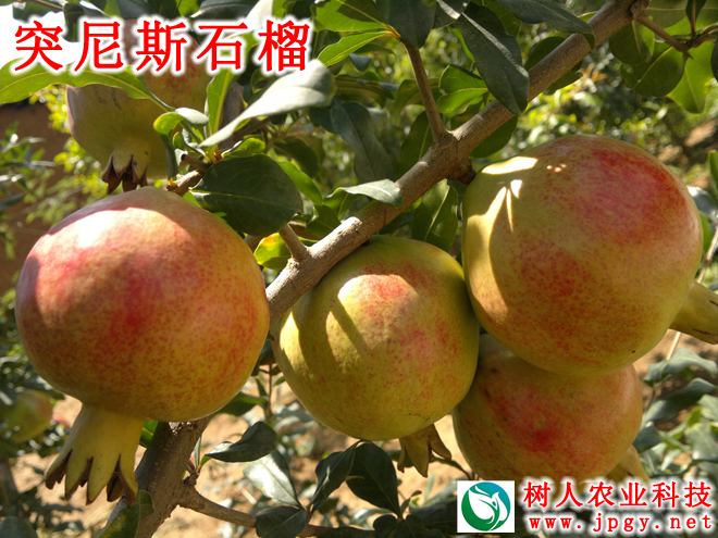 常德市萬(wàn)路達(dá)物流股份有限公司,常德危險(xiǎn)品運(yùn)輸服務(wù),普貨運(yùn)輸服務(wù),物流生活服務(wù)哪里好