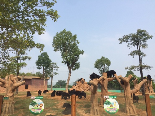 彩色油菜花的研究與開發(fā)推廣