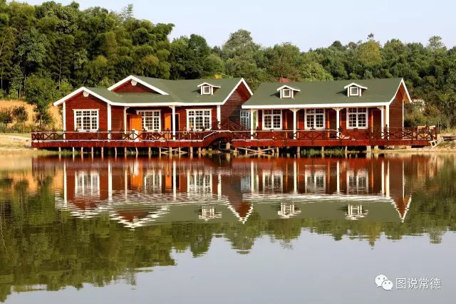 湖南樹人農林科技有限公司,湖南柑橘品種銷售,中國果樹網,常綠果樹類哪里好