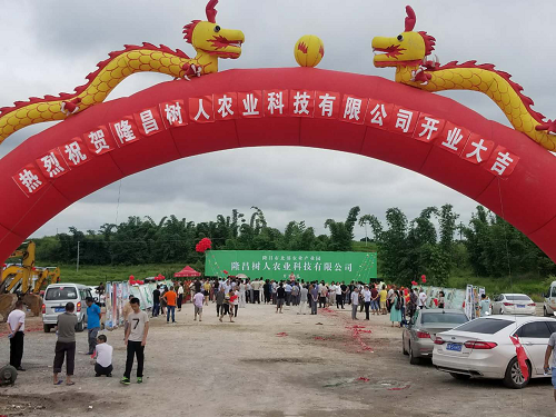 湖南樹人農(nóng)林科技有限公司,湖南柑橘品種銷售,中國果樹網(wǎng),常綠果樹類哪里好