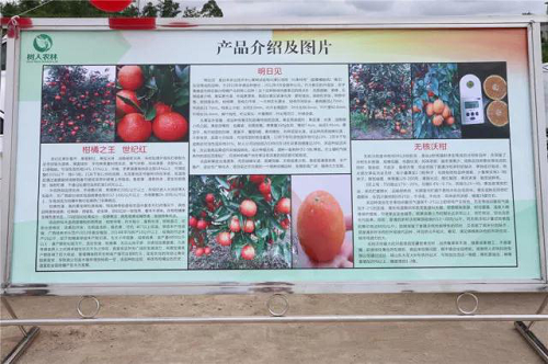 湖南樹人農(nóng)林科技有限公司,湖南柑橘品種銷售,中國果樹網(wǎng),常綠果樹類哪里好