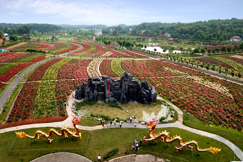 湖南樹人農(nóng)林科技有限公司,湖南柑橘品種銷售,中國果樹網(wǎng),常綠果樹類哪里好