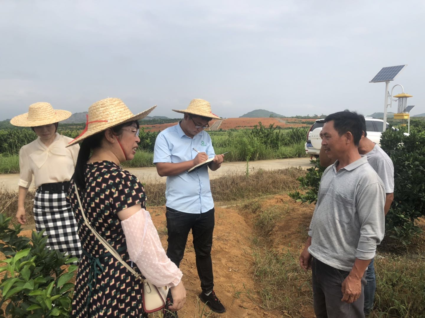 湖南樹人農林科技有限公司,湖南柑橘品種銷售,中國果樹網,常綠果樹類哪里好