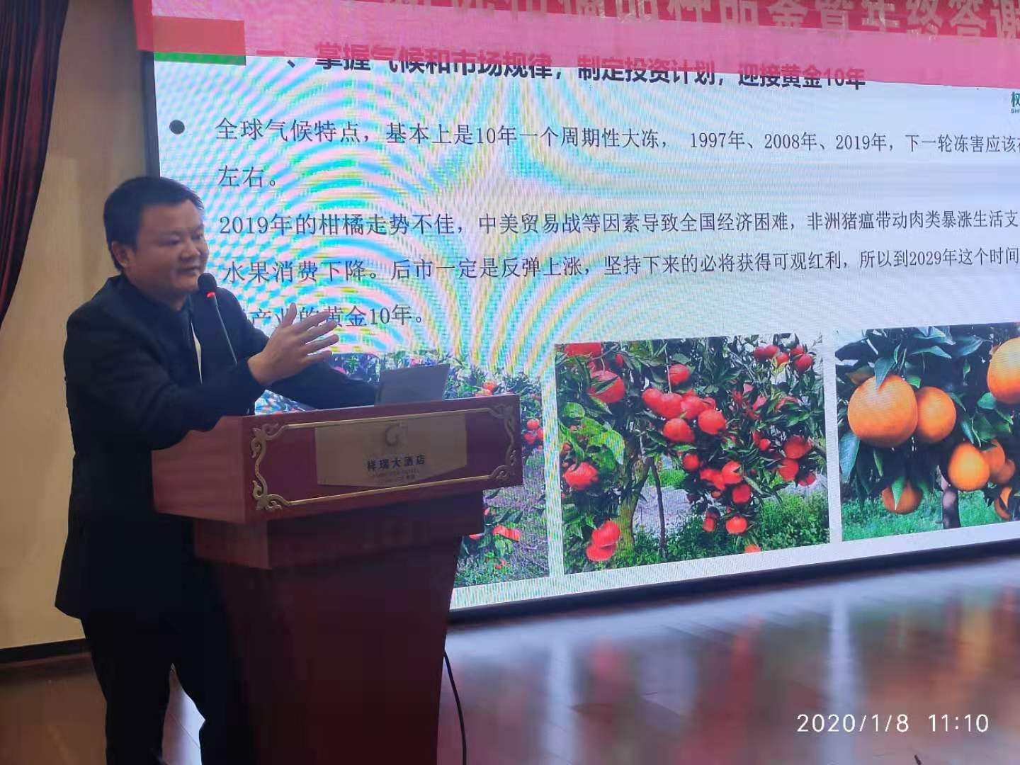 湖南樹人農林科技有限公司,湖南柑橘品種銷售,中國果樹網,常綠果樹類哪里好