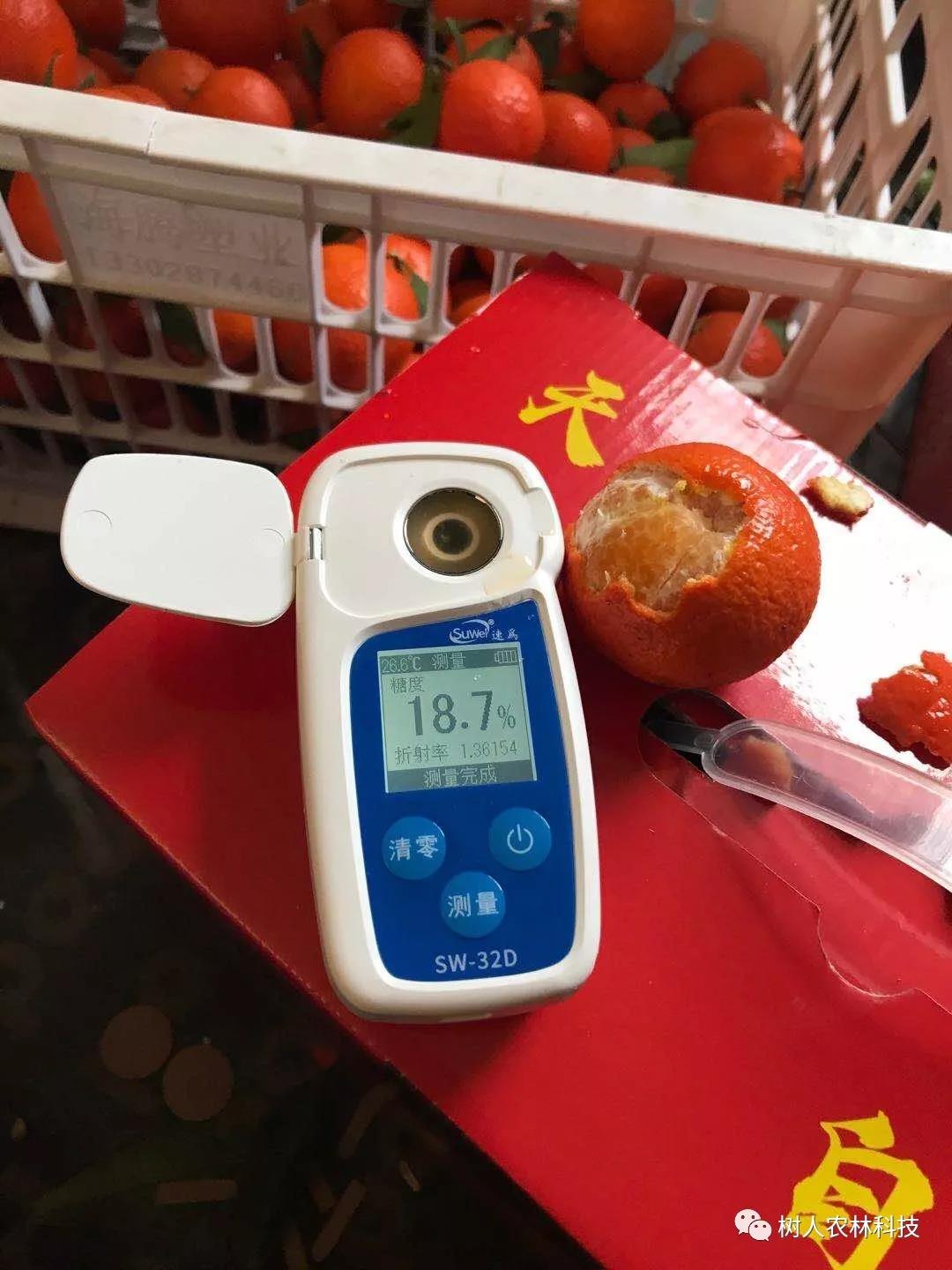 湖南樹人農(nóng)林科技有限公司,湖南柑橘品種銷售,中國果樹網(wǎng),常綠果樹類哪里好