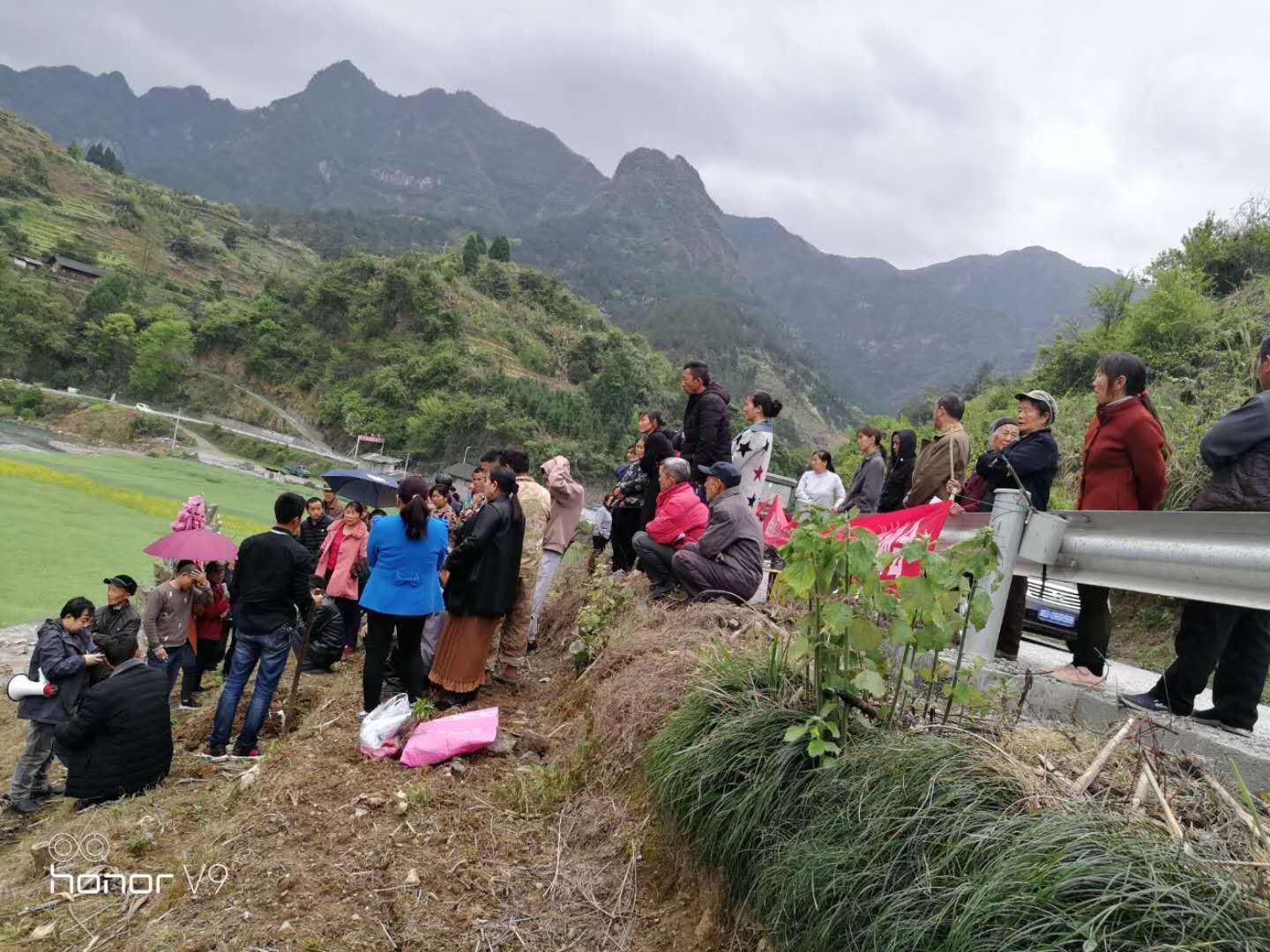 湖南樹人農(nóng)林科技有限公司,湖南柑橘品種銷售,中國果樹網(wǎng),常綠果樹類哪里好