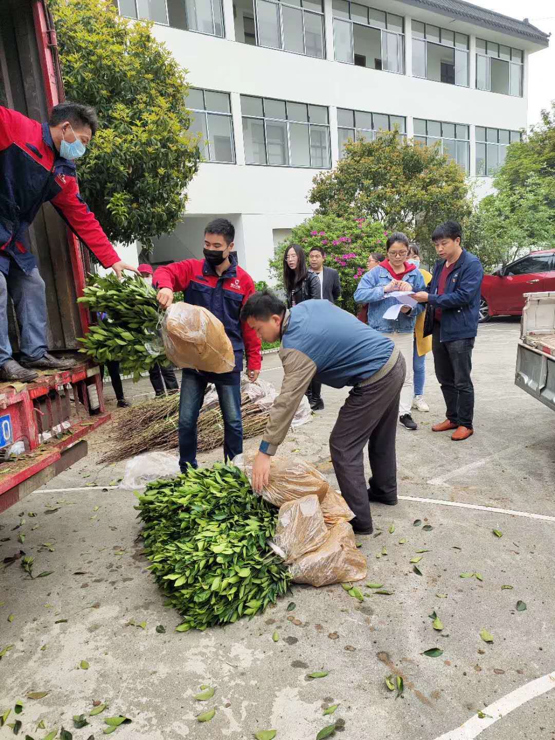湖南樹人農(nóng)林科技有限公司,湖南柑橘品種銷售,中國(guó)果樹網(wǎng),常綠果樹類哪里好