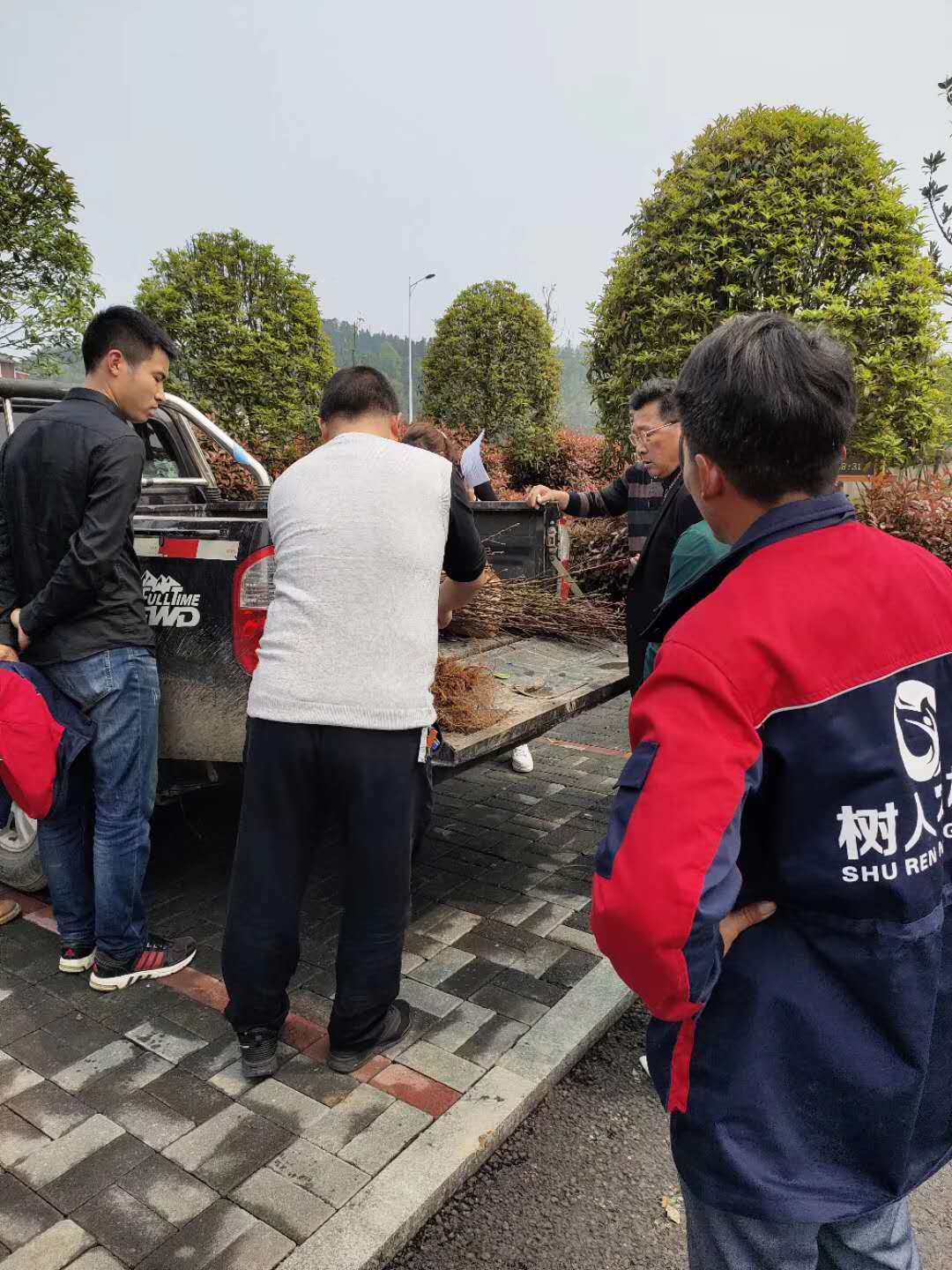 湖南樹人農(nóng)林科技有限公司,湖南柑橘品種銷售,中國(guó)果樹網(wǎng),常綠果樹類哪里好