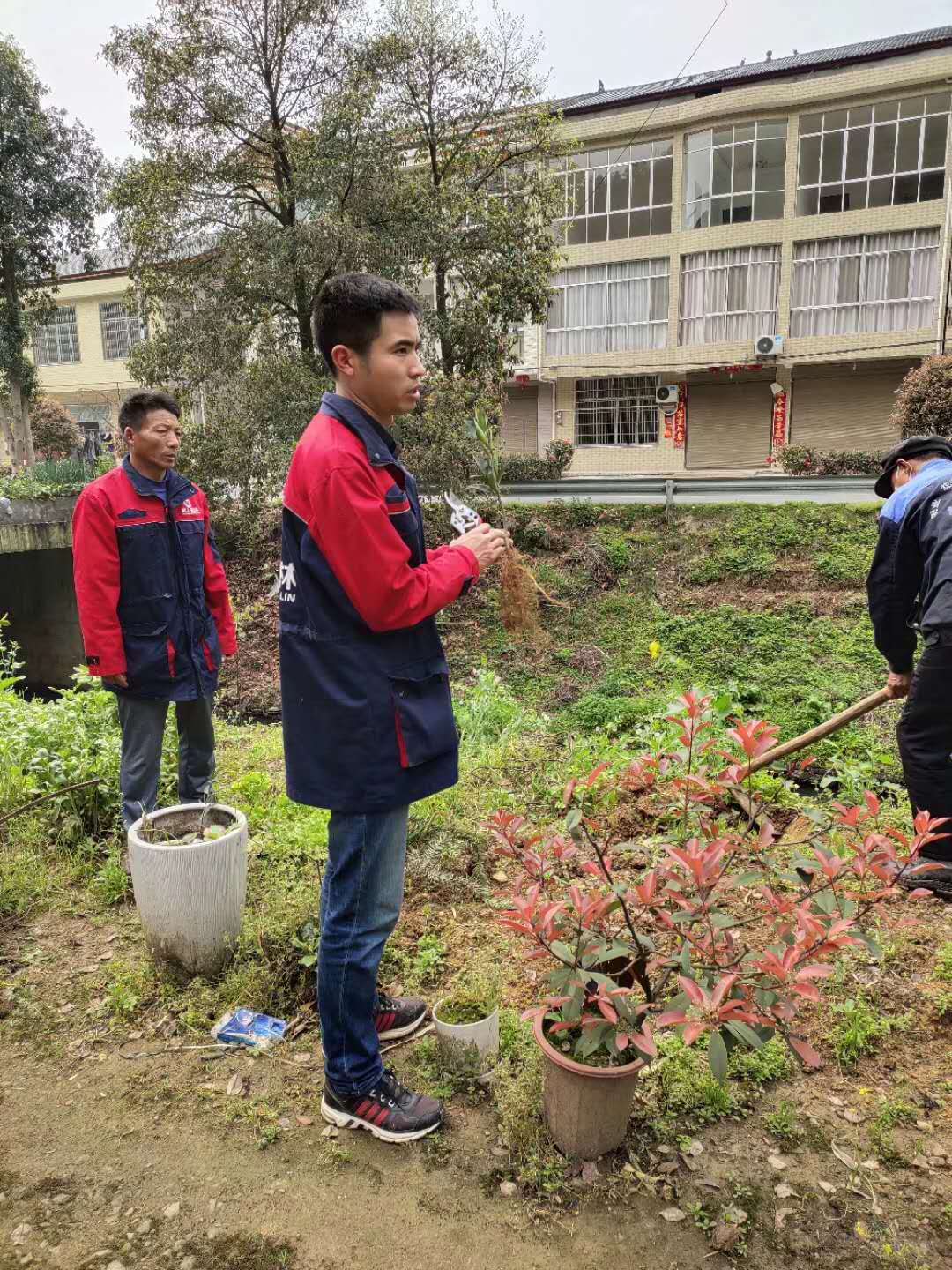 湖南樹人農(nóng)林科技有限公司,湖南柑橘品種銷售,中國(guó)果樹網(wǎng),常綠果樹類哪里好