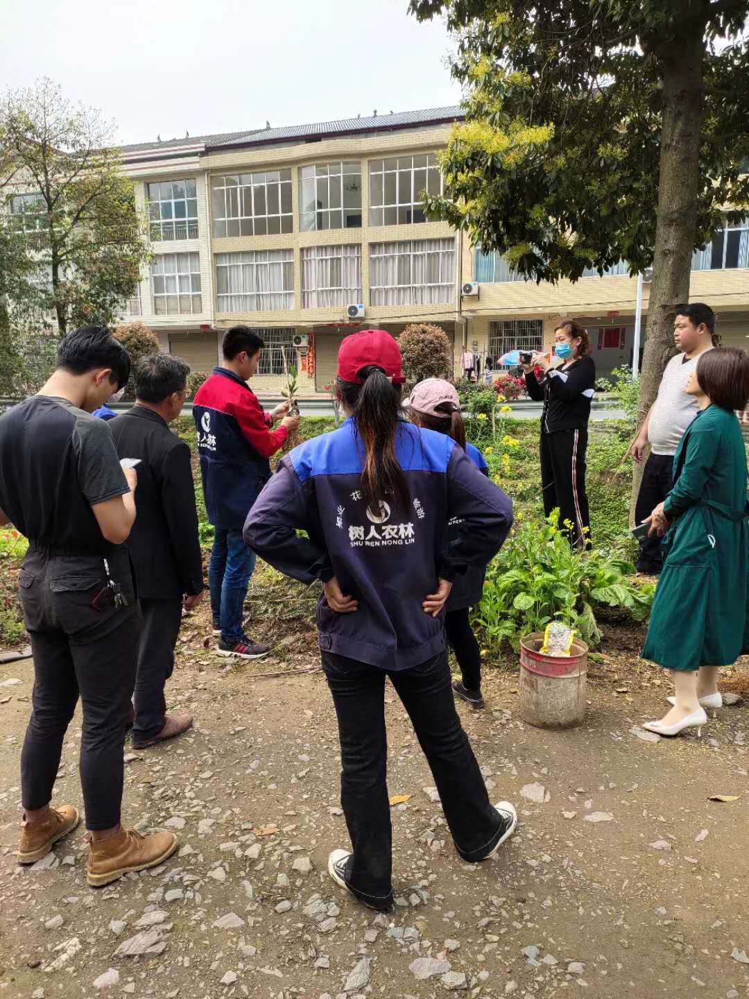 湖南樹人農(nóng)林科技有限公司,湖南柑橘品種銷售,中國(guó)果樹網(wǎng),常綠果樹類哪里好