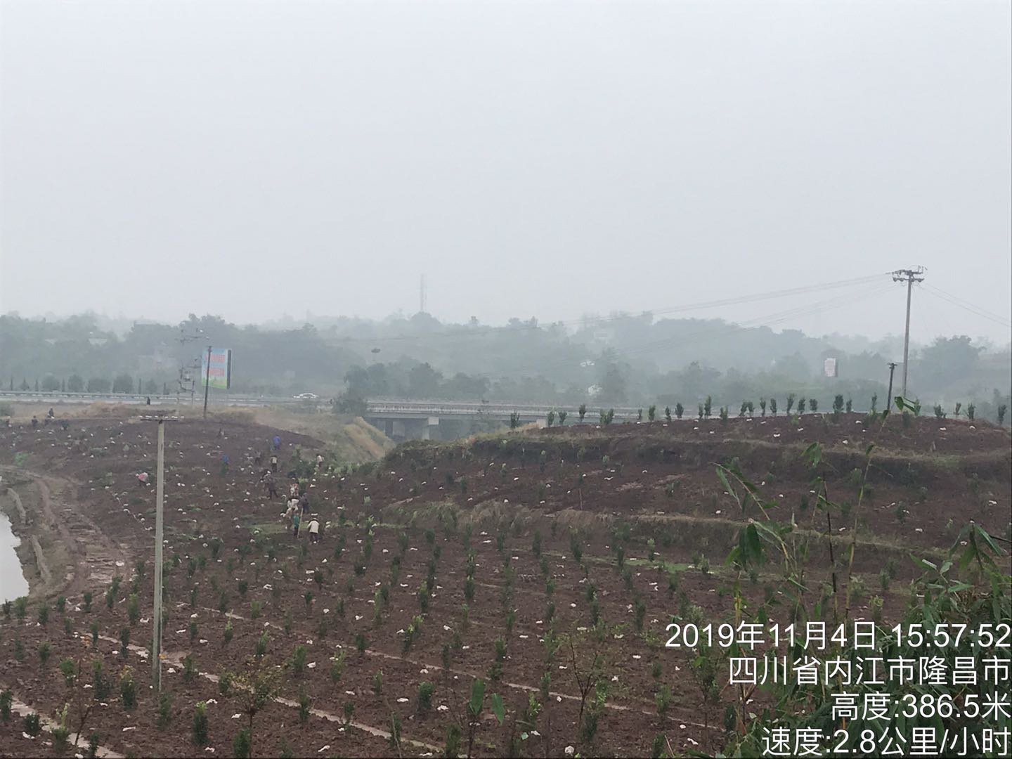 湖南樹人農林科技有限公司,湖南柑橘品種銷售,中國果樹網,常綠果樹類哪里好