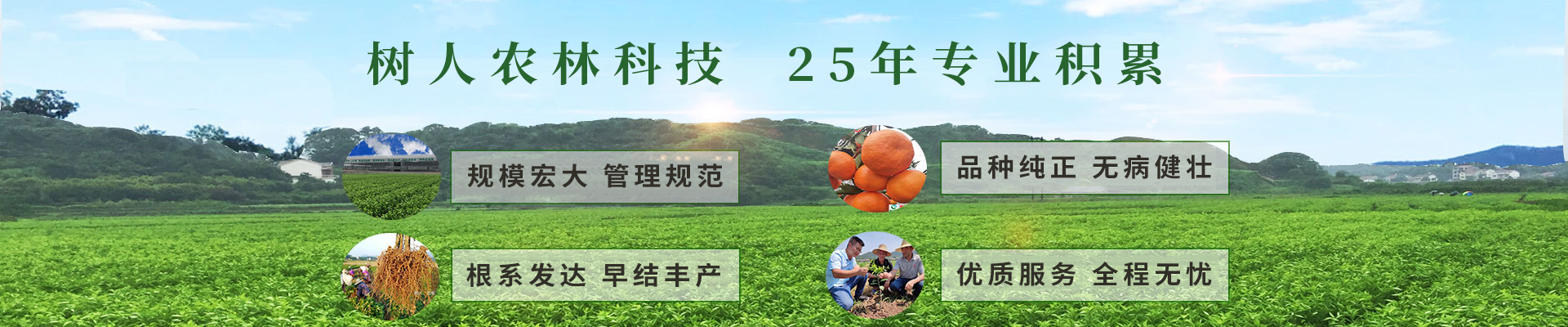 湖南樹人農林科技有限公司_樹人農林丨樹人農業丨農業科技丨現代農業丨柑橘丨柑橘苗木丨果樹苗木丨綠化苗木丨種子種苗丨田園綜合體丨鄉村旅游丨觀光休閑等